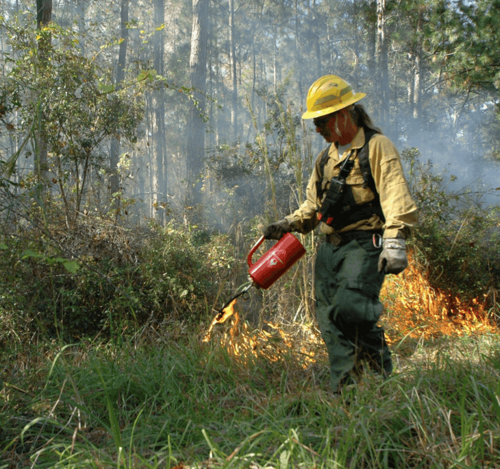 National Prescribed Fire Program Review 2022
