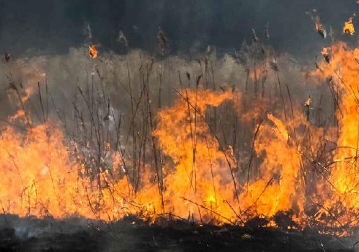 Προβλέποντας τον ρυθμό εξάπλωσης πυρκαγιών σε χορτολίβαδα με ένα ανεμόμετρο χειρός