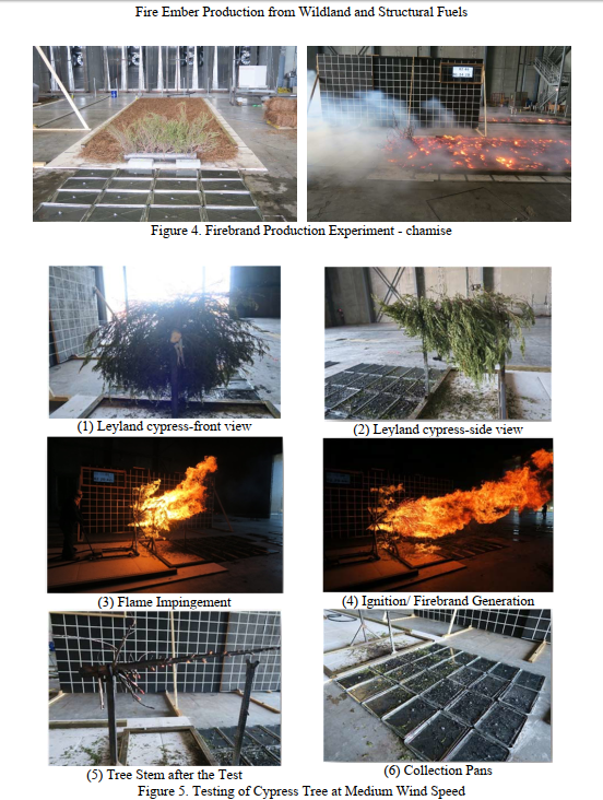 Fire Ember Production from Wildland and Structural Fuels