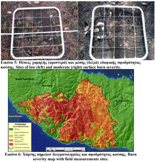 Pal 2013 Agion Oros 2012 wildfire severity